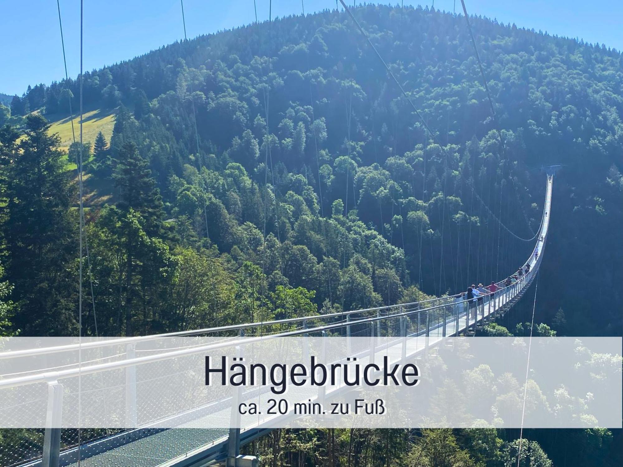 Baechle Im Wanderparadies Balkon Mit Blick Auf Den Bach Sauna Im Haus Tiefgarage E-Ladestation ทอดด์เนาแบร์ก ภายนอก รูปภาพ